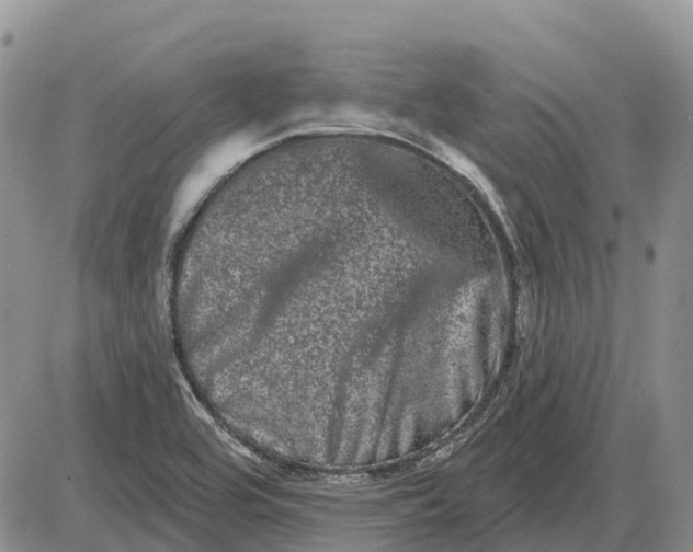 X0000085041464200703191220