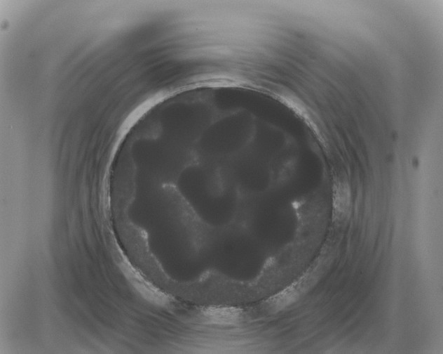 X0000085041466200703191220