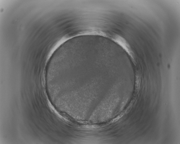 X0000085041468200703191220