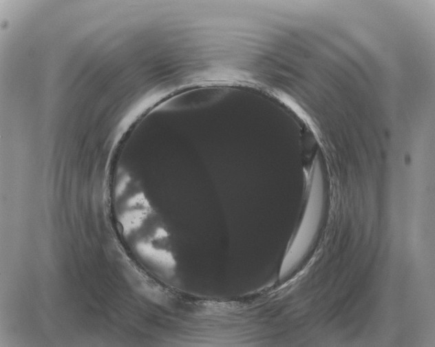 X0000085041469200703191220