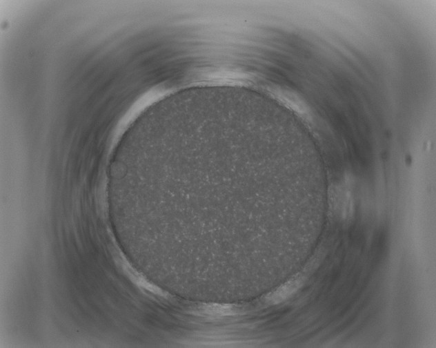 X0000085041470200703191220