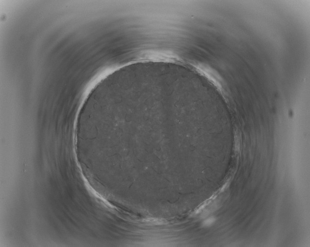 X0000085041471200703191220