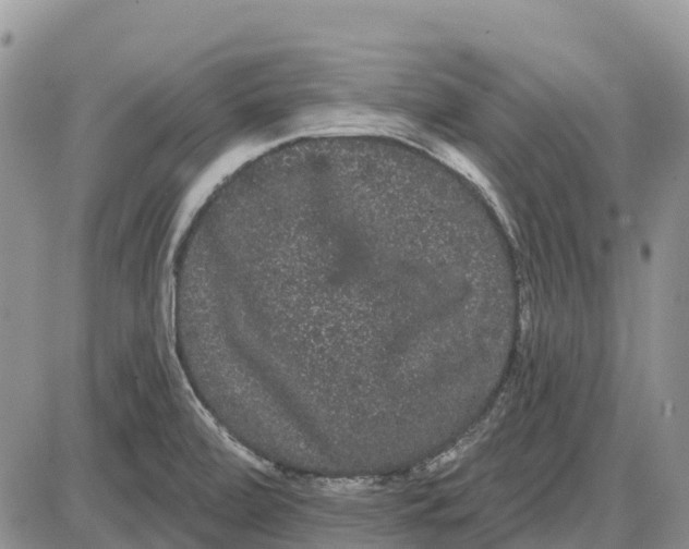 X0000085041472200703191220