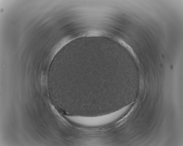 X0000085041473200703191220