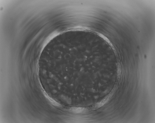 X0000085041474200703191220