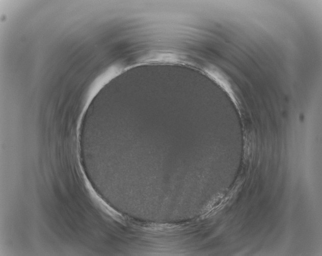 X0000085041475200703191220