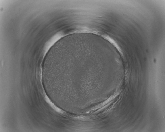 X0000085041476200703191220