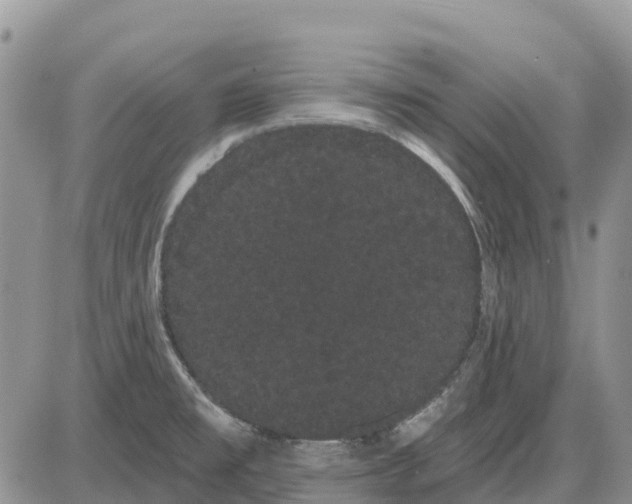 X0000085041477200703191220