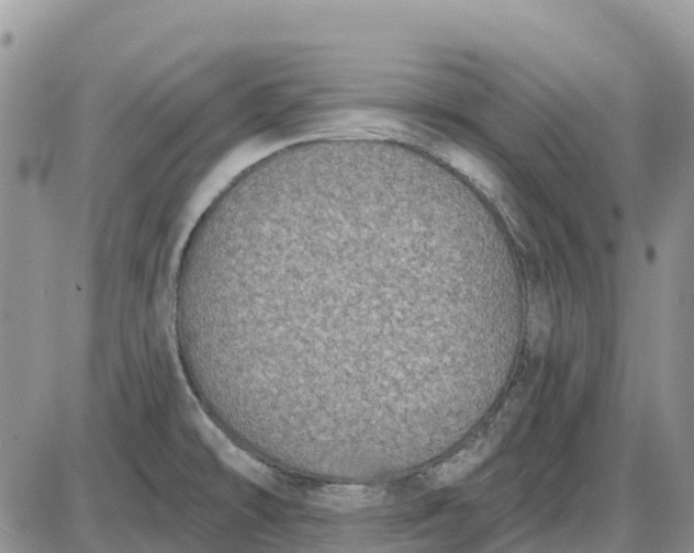 X0000085041478200703191220