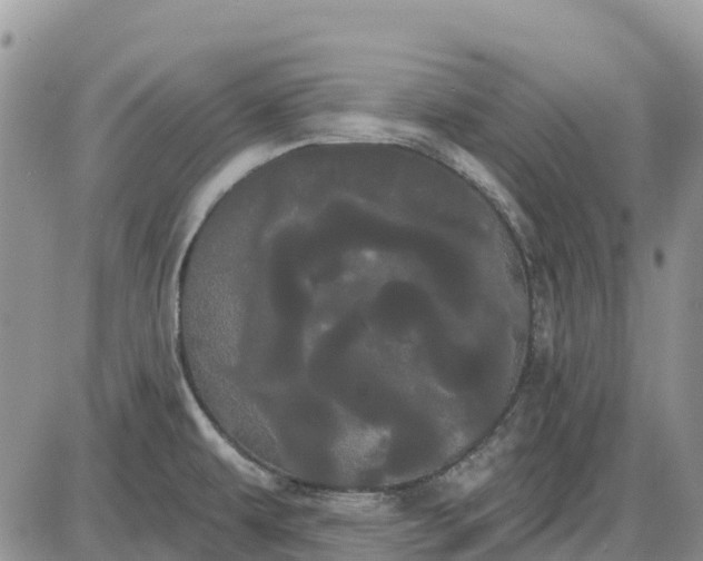 X0000085041479200703191220