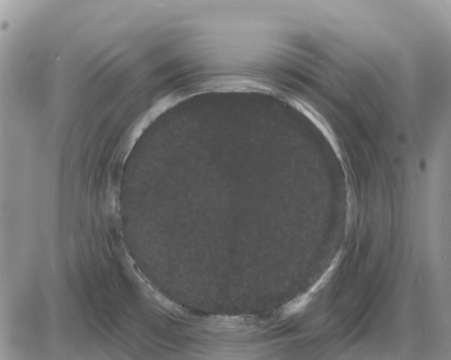 X0000085041481200703191220