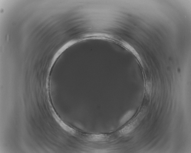 X0000085041482200703191220