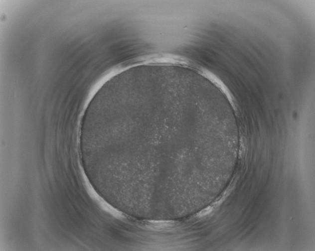 X0000085041483200703191220