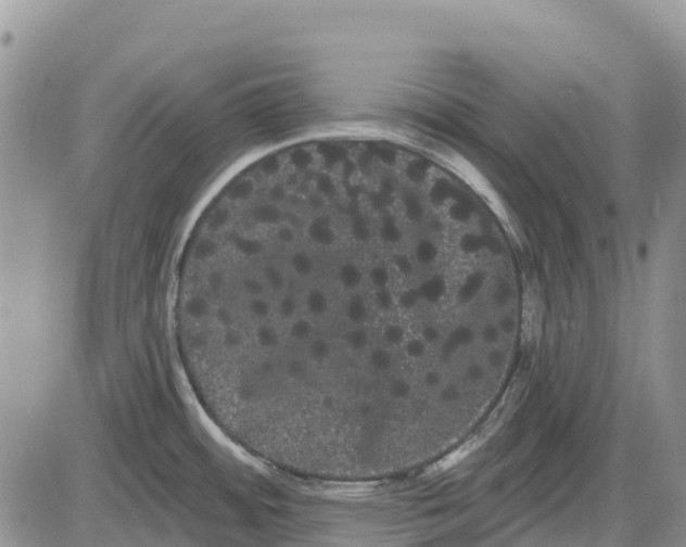 X0000085041484200703191220