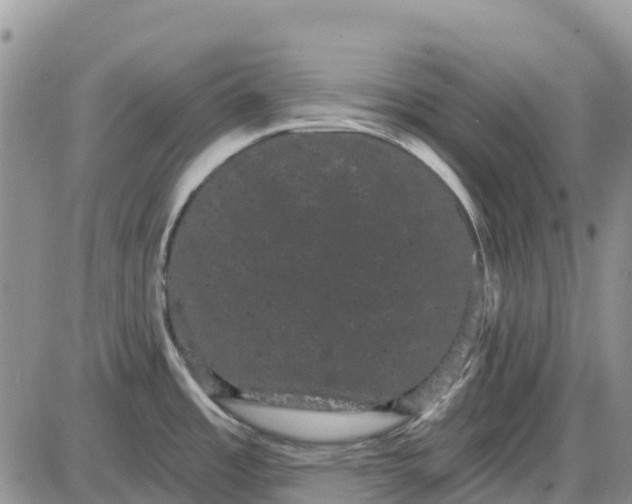 X0000085041485200703191220