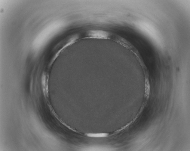 X0000085041487200703191220