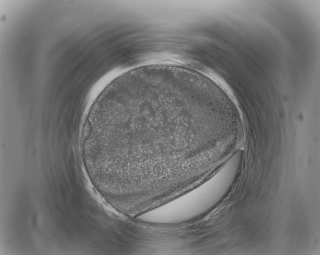 X0000085041488200703191220