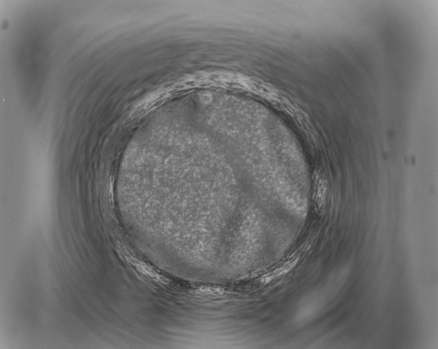 X0000085041489200703191219