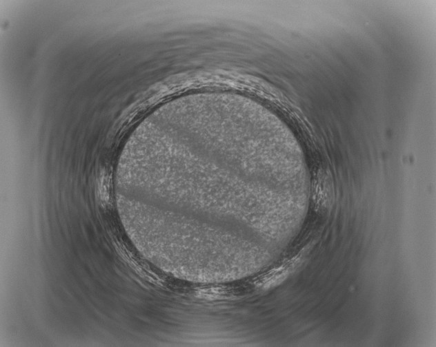 X0000085041490200703191219