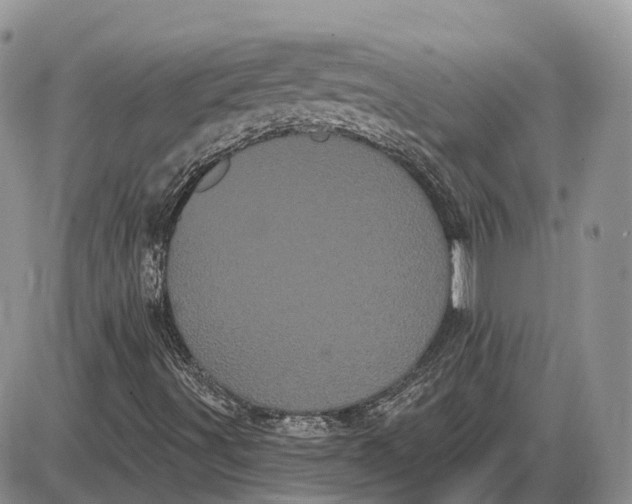 X0000085041491200703191219