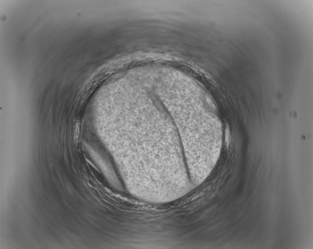 X0000085041492200703191219