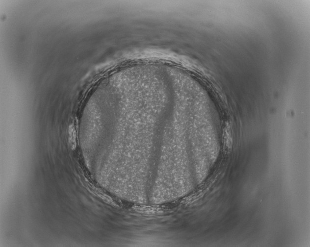 X0000085041493200703191219