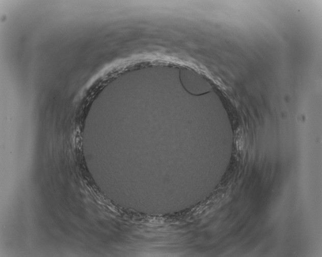 X0000085041495200703191219