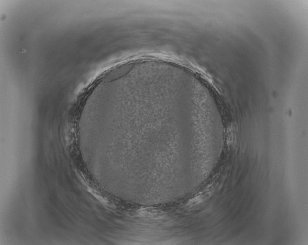 X0000085041496200703191219