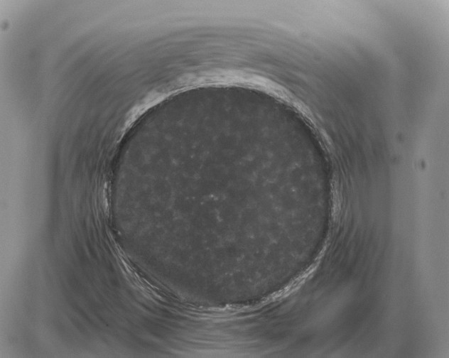 X0000085041497200703191219