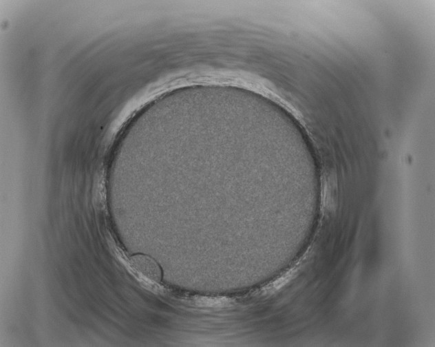 X0000085041498200703191219