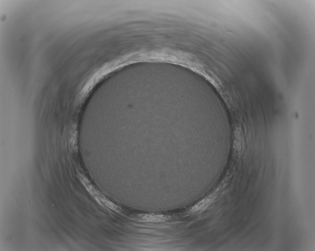 X0000085041499200703191219