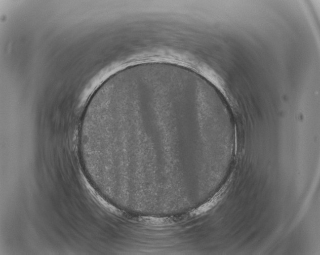 X0000085041500200703191219