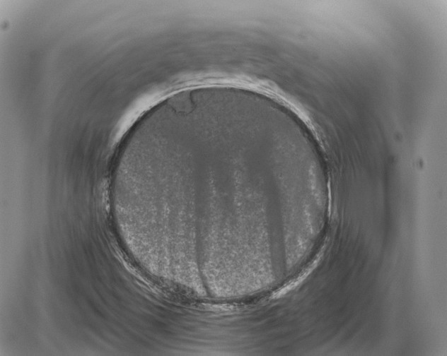 X0000085041501200703191219