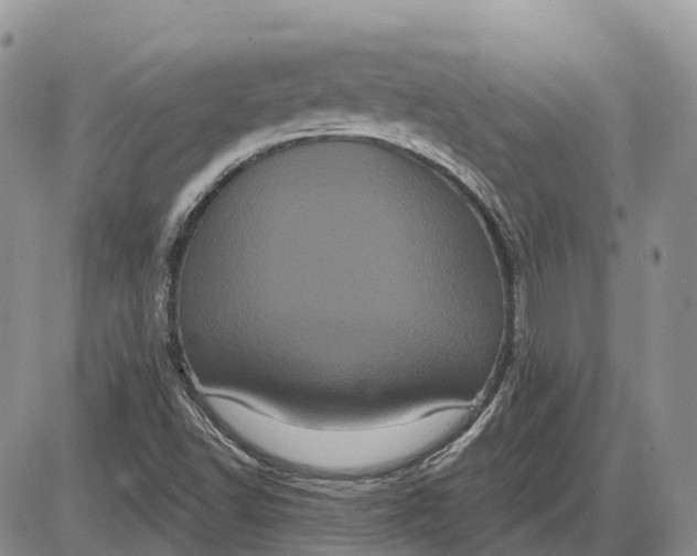 X0000085041502200703191219