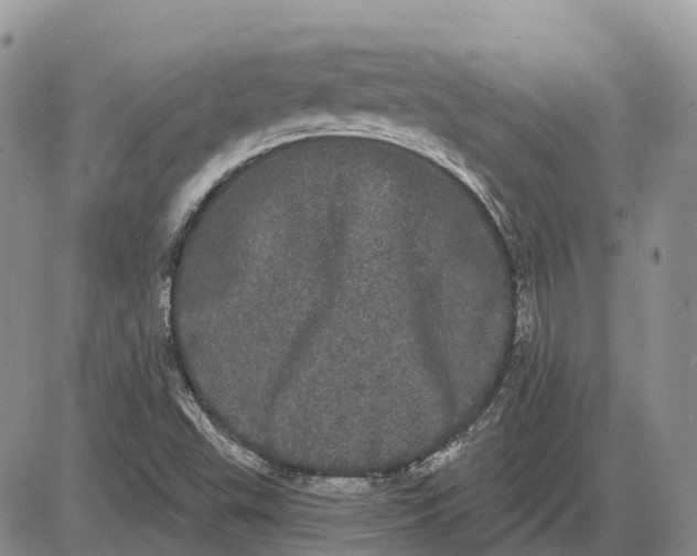 X0000085041503200703191219