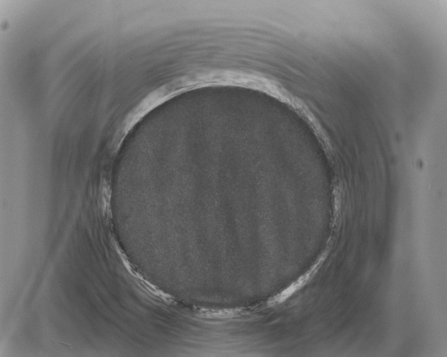 X0000085041505200703191219