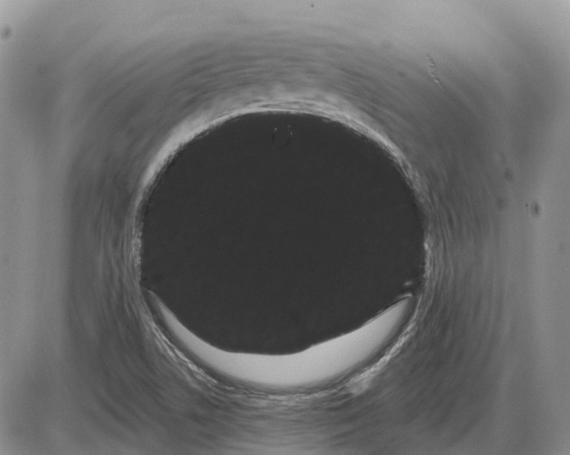 X0000085041506200703191219