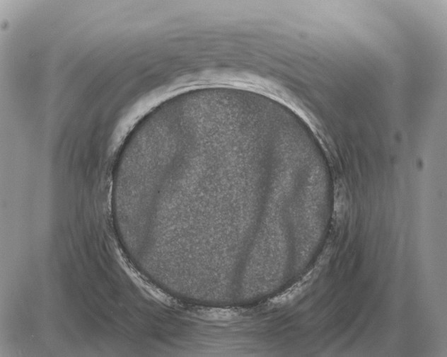 X0000085041507200703191219