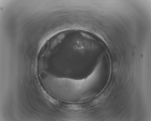 X0000085041508200703191220