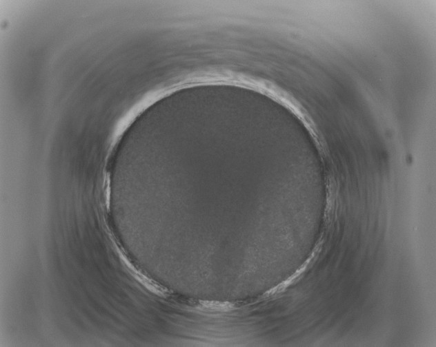 X0000085041509200703191220