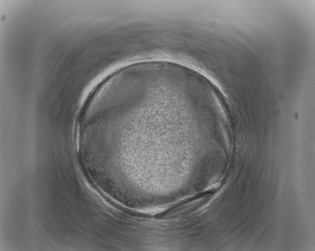 X0000085041510200703191220