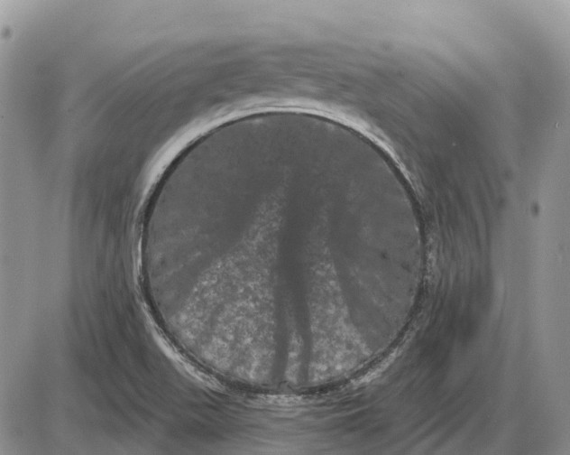 X0000085041511200703191220