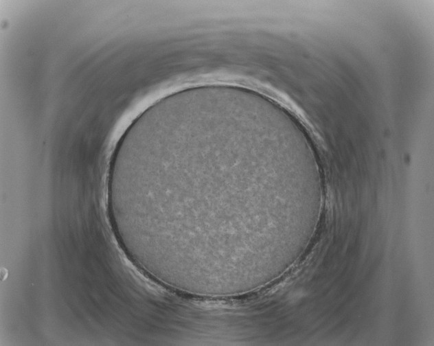 X0000085041512200703191220