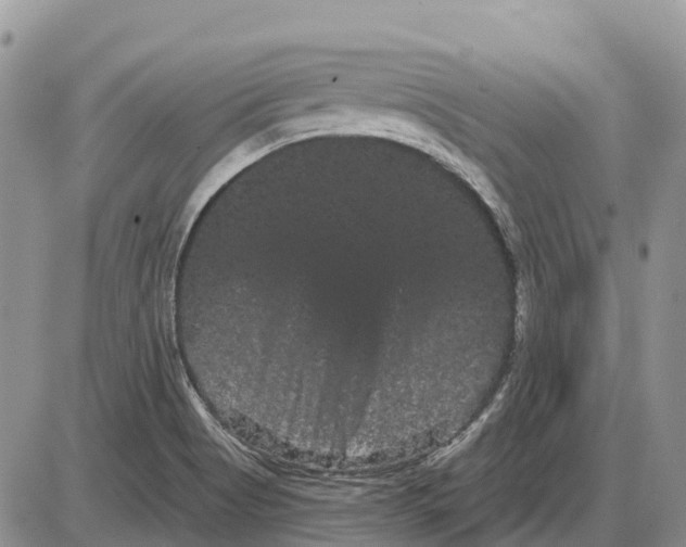 X0000085041513200703191220