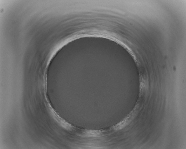 X0000085041514200703191220