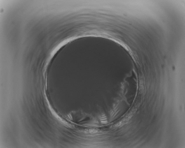 X0000085041515200703191220