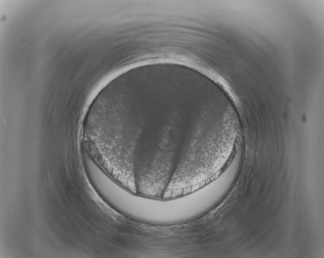 X0000085041516200703191220