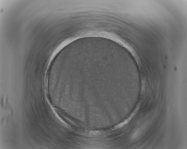 X0000085041517200703191220