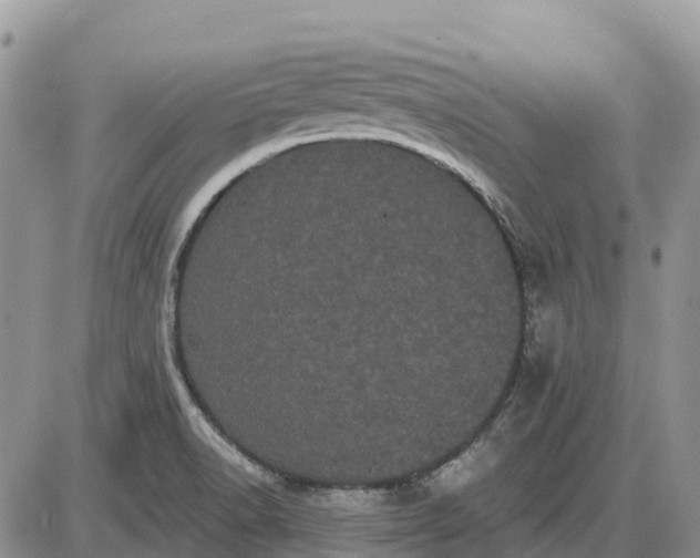 X0000085041518200703191220