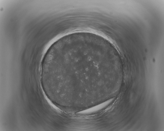 X0000085041519200703191220